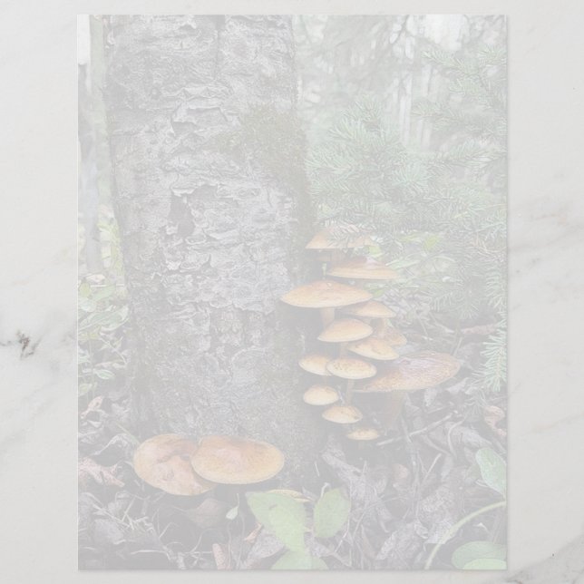 Hongos - Hoja de estacionamiento de 8,5" x 11" (Anverso)