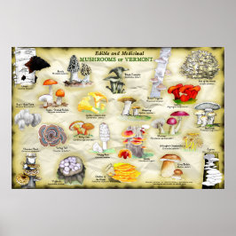 Hongos posters de Vermont