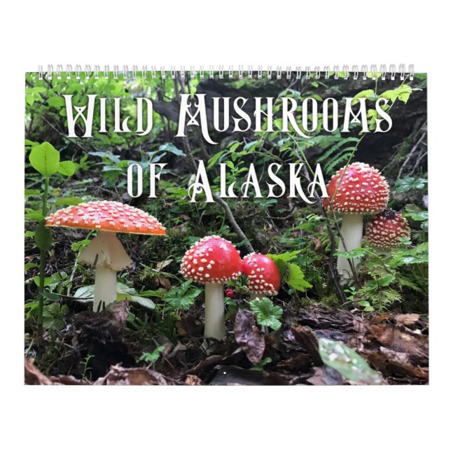 Hongos silvestres de Alaska - Calendario grande (Tapa)