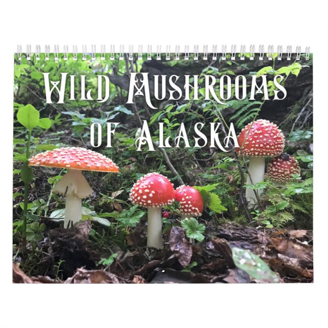 Hongos silvestres de Alaska - Calendario medio (Tapa)