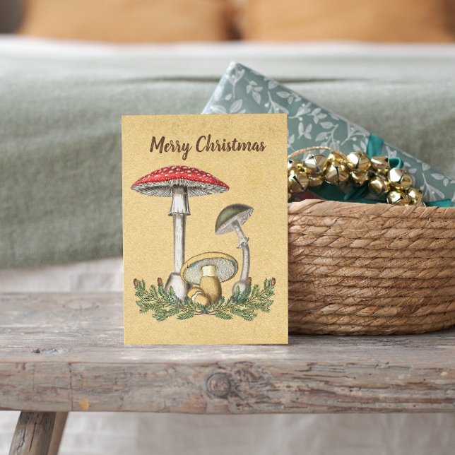 Hongos viejos vintage marrón navidad (Subido por el creador)