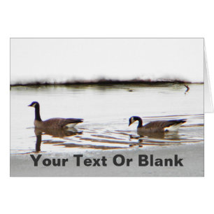 Honkers - Canadá Geese