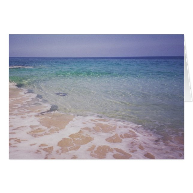 Honu en la playa de La a'Loa (Anverso (Horizontal))