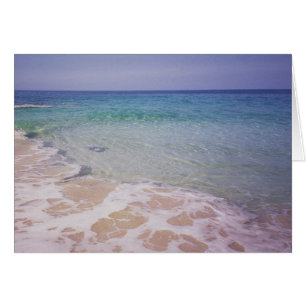 Honu en la playa del a'Loa del La