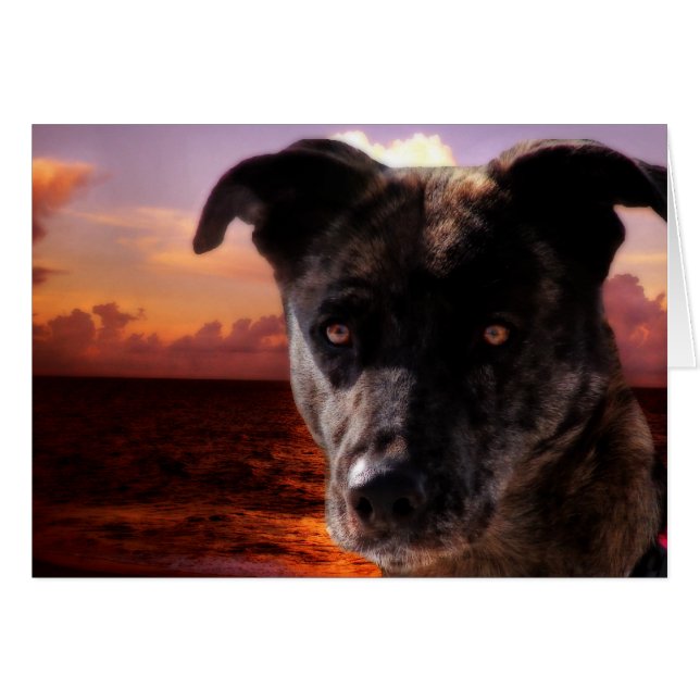 Hope Visita El Océano (Anverso (Horizontal))