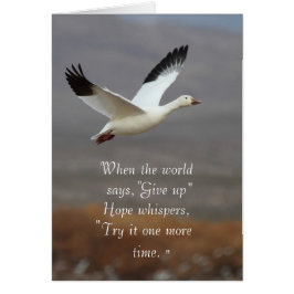 Hope whispers try it one more time