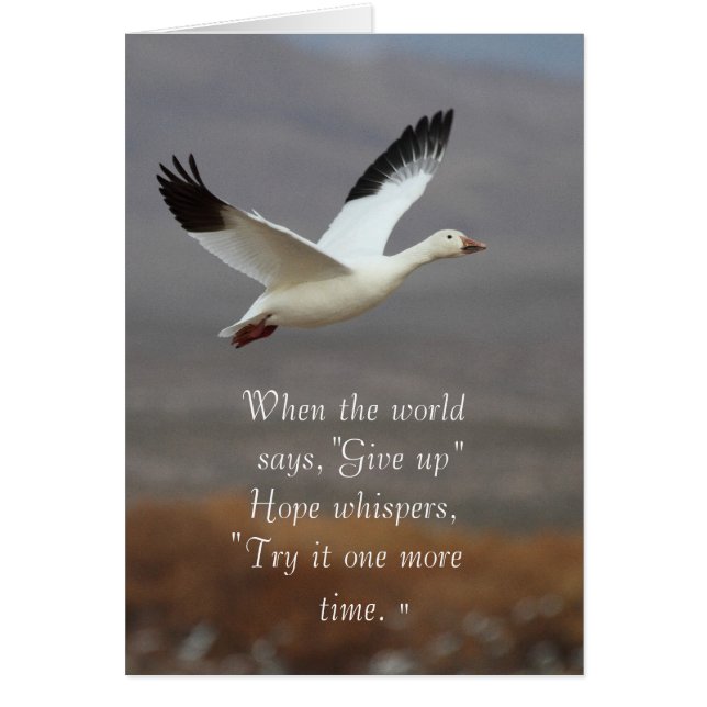 Hope whispers try it one more time (Frente)