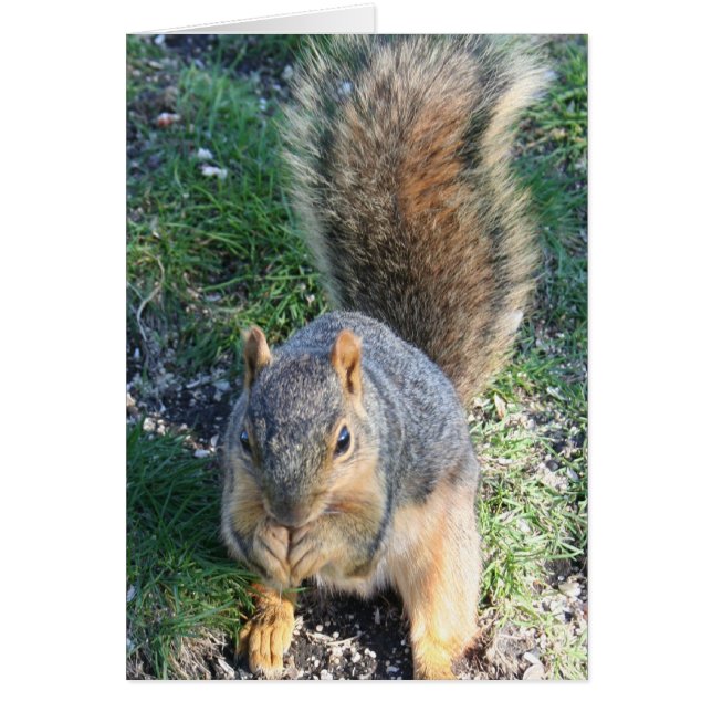 Hora de la cena (Frente)