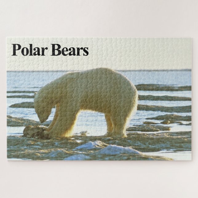 Hora de la cena del oso polar rompecabezas (Horizontal)