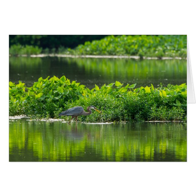 Hora de la comida del cangrejo (Anverso (Horizontal))