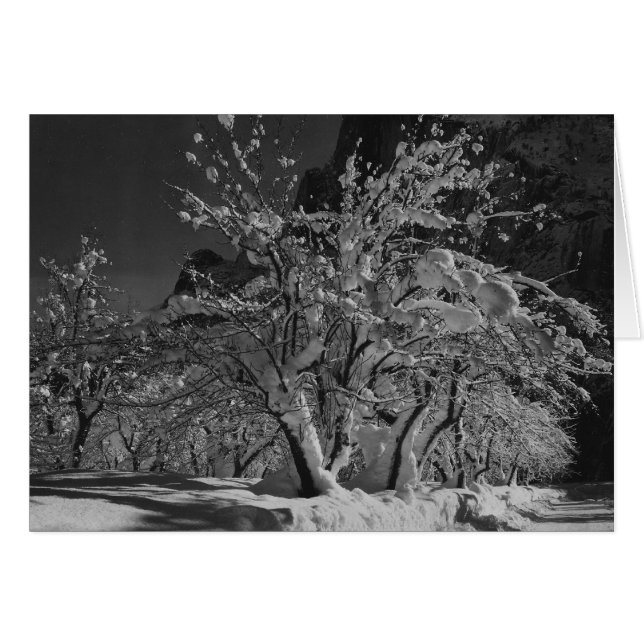 Hora de la noche del invierno (Anverso (Horizontal))