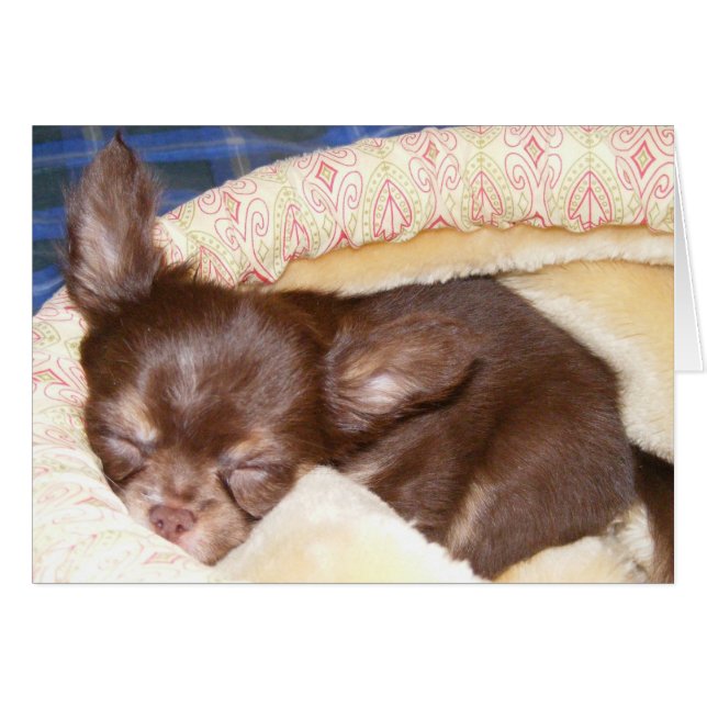 Hora de Nap - en blanco dentro (Anverso (Horizontal))