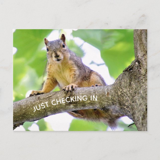 Hora de proteger la postal (Anverso)