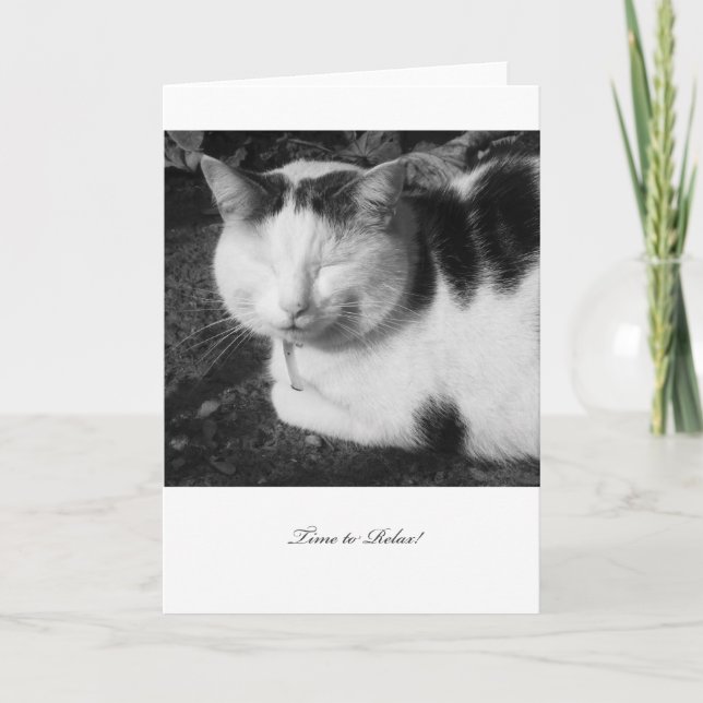 Hora de relajar el gato - tarjeta en blanco del (Anverso)