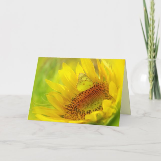 Hora de verano, tarjeta de felicitación. (Anverso)