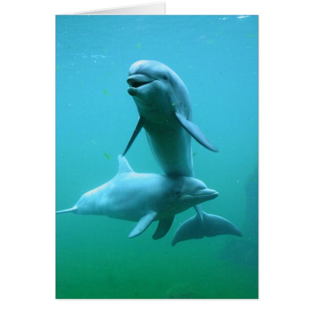 Hora del recreo (Frente)