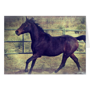 Horario de bolígrafo redondo