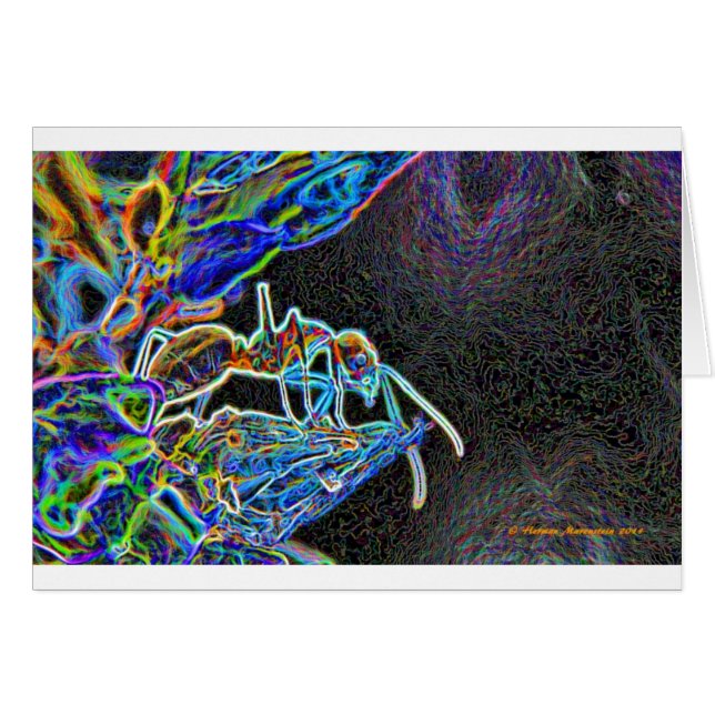 hormiga a1 (Anverso (Horizontal))