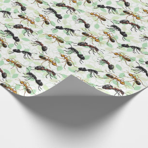 Hormigas Insectos Bichos Papel de Regalo