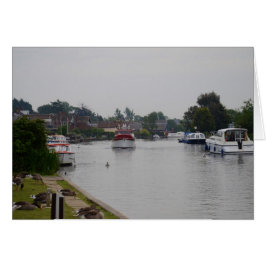 Horning en el río Bure
