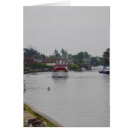 Horning en el río Bure