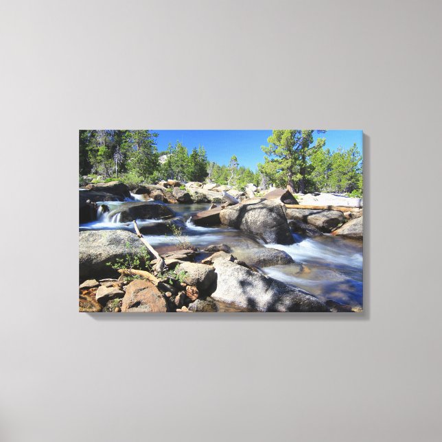 Horquilla de plata del río americano, lienzo (Anverso)