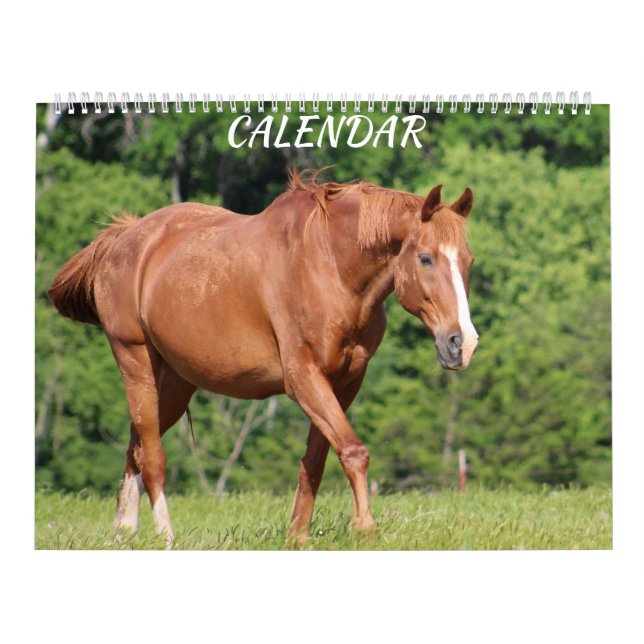 Horse Farm brillante calendario animado y colorido (Tapa)