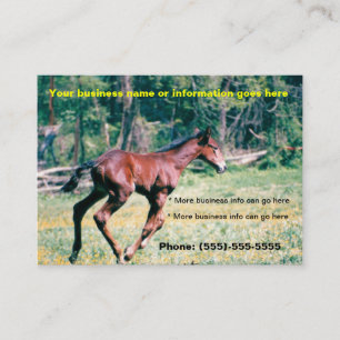 Horse Foal galopando tarjetas de negocios
