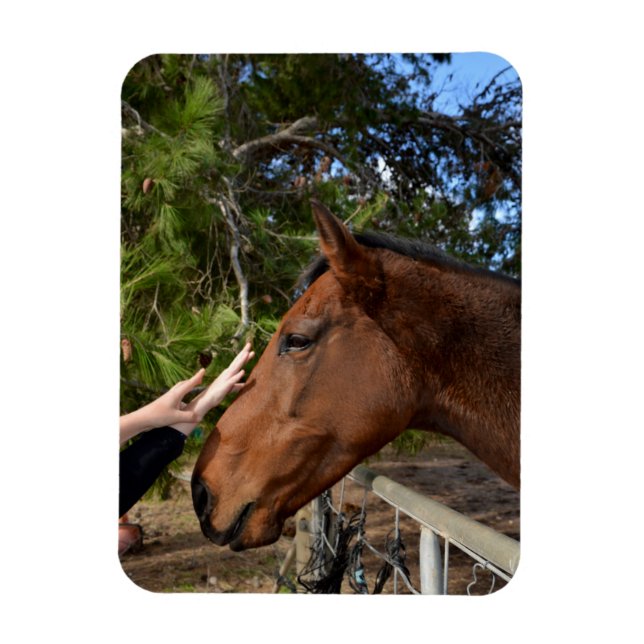 Horse Friends para siempre, imán flexible (Vertical)