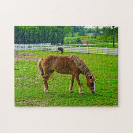 Horse Jigsaw Puzzle