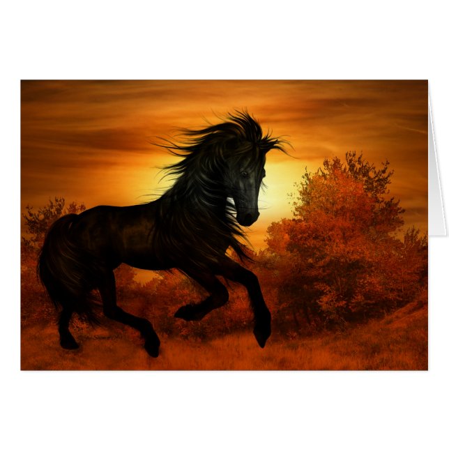 Horse Lover Black Stallion Horse Blank (Anverso (Horizontal))
