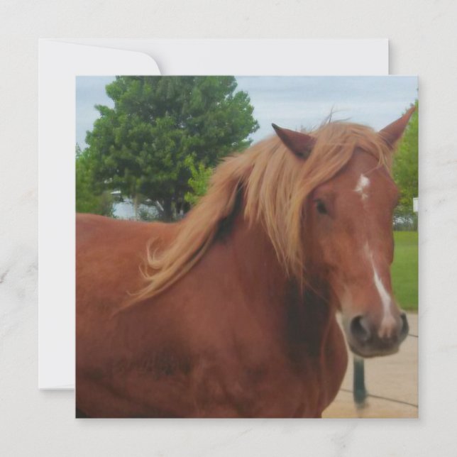 Horse Note Card | Elegant Equestrian Greeting Card (Anverso)