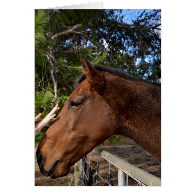 Horse_Pat,_Greeting_Card. (Frente)