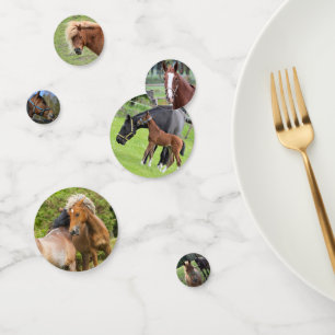 Horse Photos, confeti