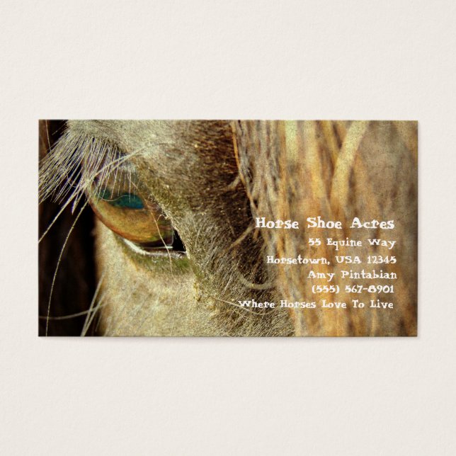 Horse Shoe Acres (Frente)