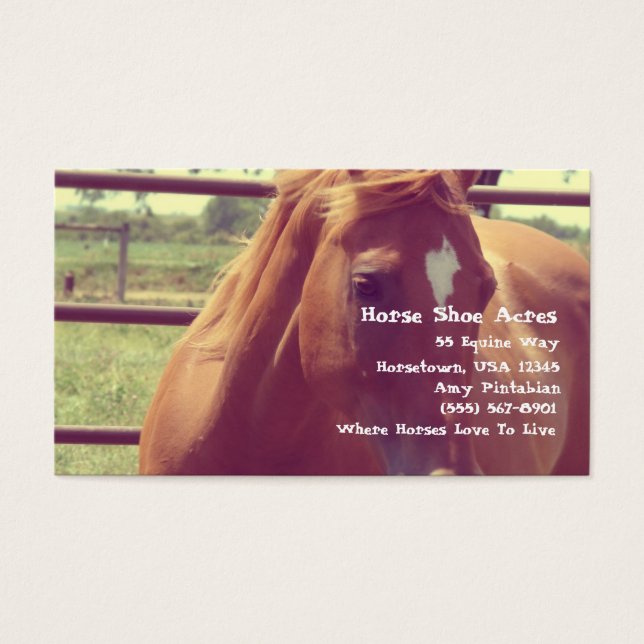 Horse Shoes Acres Soft Focus Sorrel (Frente)