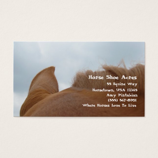 Horse Shoes Acres Sorrel Horse (Frente)