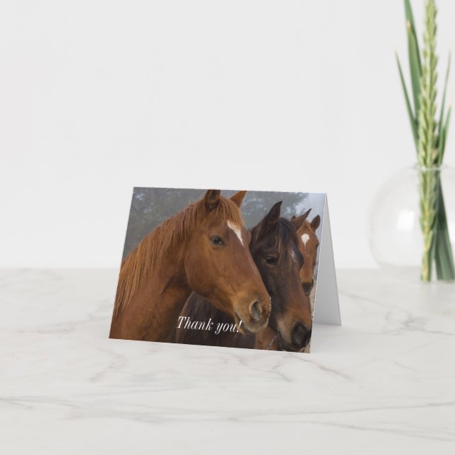 Horse Triplets - Tarjeta de agradecimiento (Anverso)