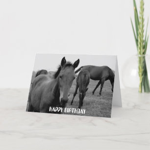 HORSES FELIZ diseño de tarjetas de cumpleaños