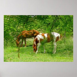 Horses hojas verdes 11 x 85 Posters