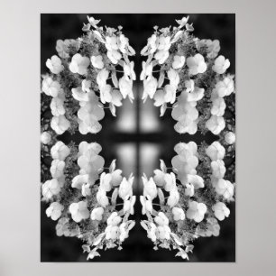 Hortensia Arte Floral en Espejo Blanco y Negro
