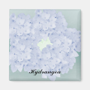 Hortensia Azul Pálido Imán