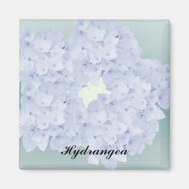 Hortensia Azul Pálido Imán (Frente)