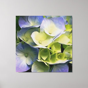 Hortensia Blossom Arte Botánico Azul Y Amarillo