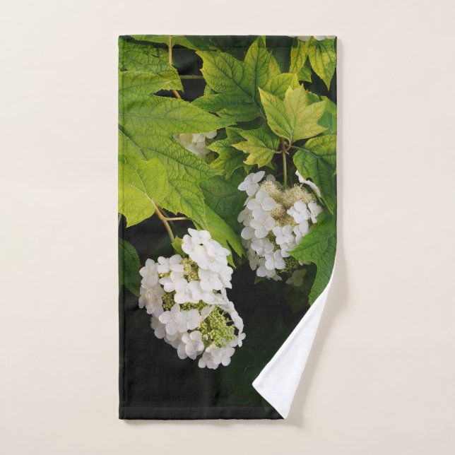 Hortensia de hoja de roble (Toalla de mano)