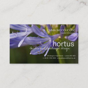 Hortus - tarjeta de visita del Agapanthus