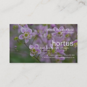 Hortus - tarjeta de visita del Thalictrum