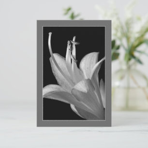 Hosta Flor Ornate Tarjeta plana blanca y negra