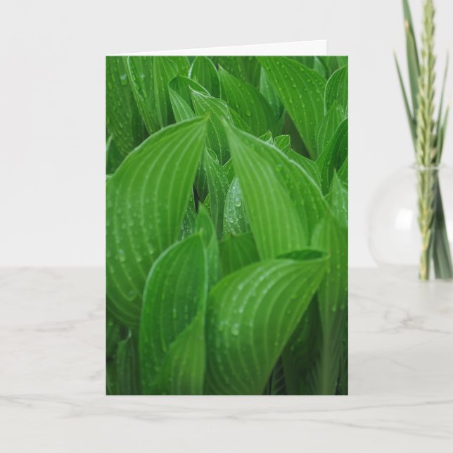 Hosta Sale con tarjeta de cumpleaños con gotas de  (Anverso)