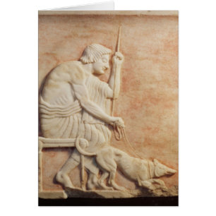 Hostigamiento animal